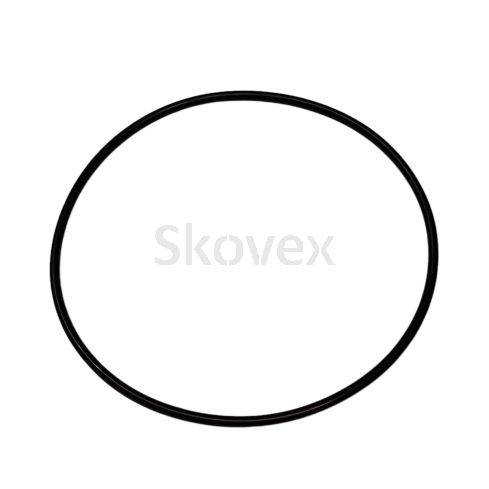003145