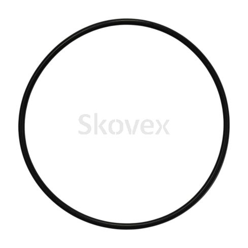024356