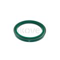 Rear Main Seal, 4045 6068