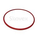 Ring Seal
