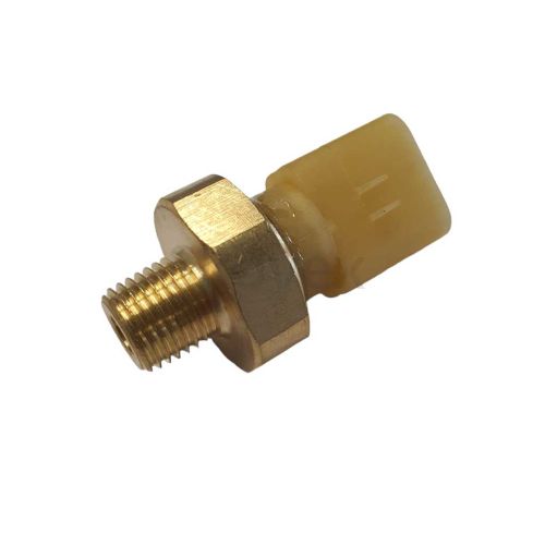 DZ111910A